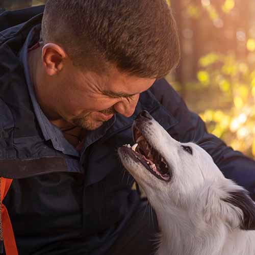 Human Search & Rescue Dogs
